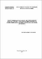 Dissertacao_Final_Mestrado_LUIS.pdf.jpg
