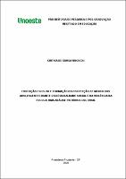 Cinthia de Sousa Noguchi.pdf.jpg