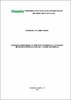 Nathalia Lopes Manganaro. Elementos pré-textuais.pdf.jpg