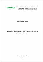 Nelson Finardi Junior.pdf.jpg