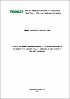 Viviane dos Santos Vaccaro Lima.pdf.jpg