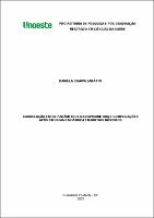 Daniela Ogawa Zanatto.pdf.jpg
