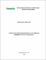 Luis Gustavo Gomes Lobo.pdf.jpg