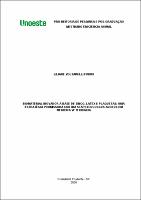 Liliane Voltarelli Furini.pdf.jpg