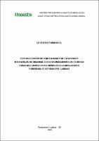 Leticia Estevam Engel.pdf.jpg